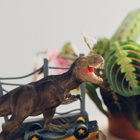 Calendario - Perpetuo - Jurassic Park