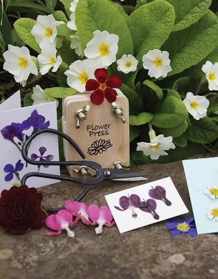 Kit de prensado de flores en lata