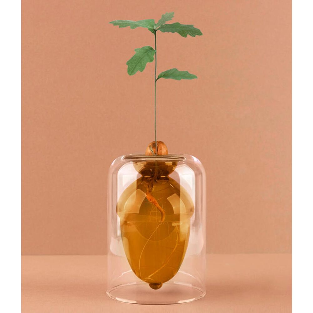 Florero Acorn