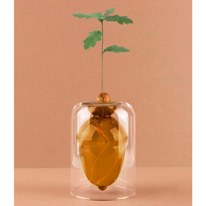 Florero Acorn